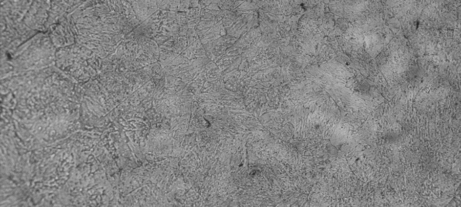 Repliche metallografiche