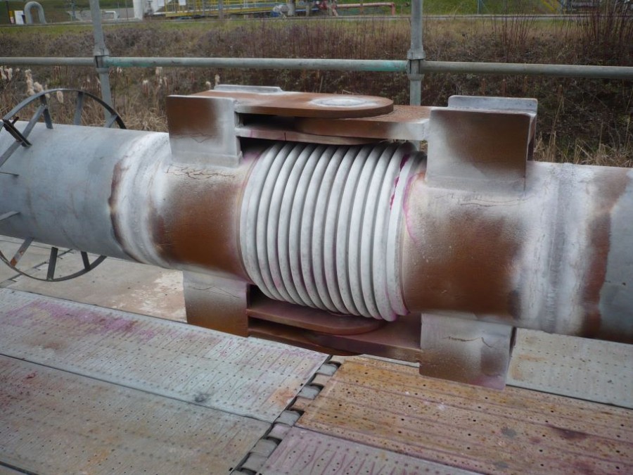 Magnetoscopia