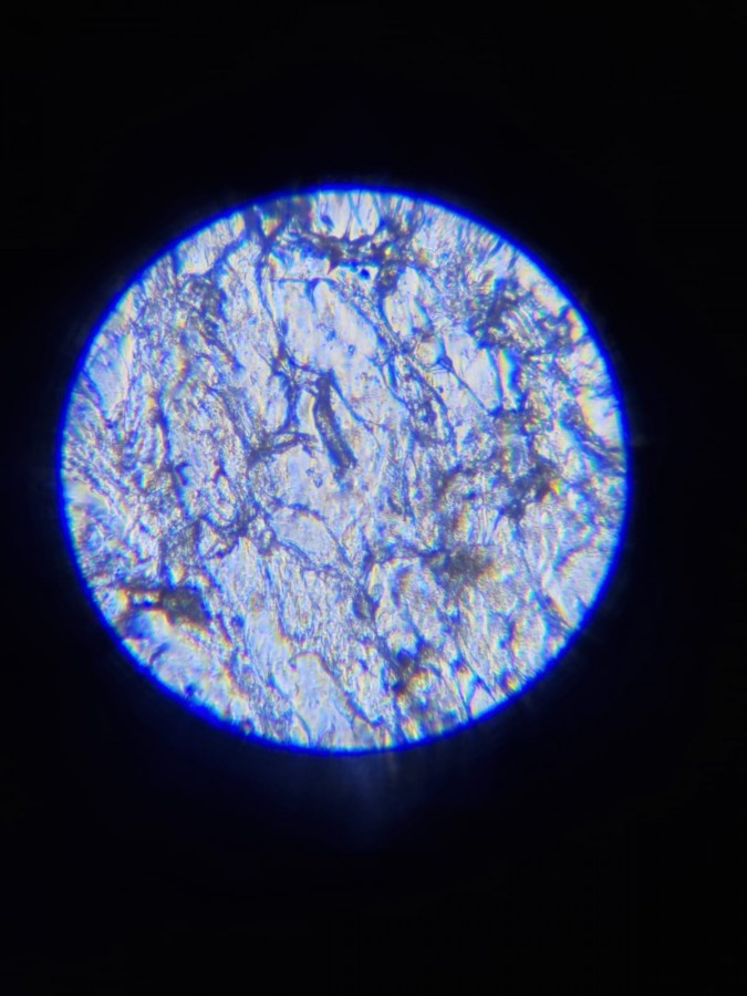 Repliche metallografiche